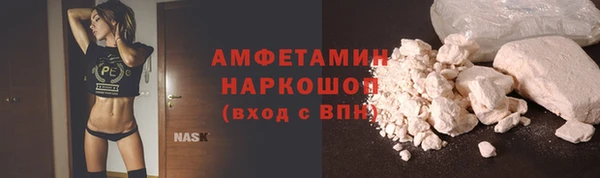 прущие грибы Алзамай