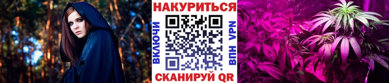 Шишки марихуана план Цимлянск